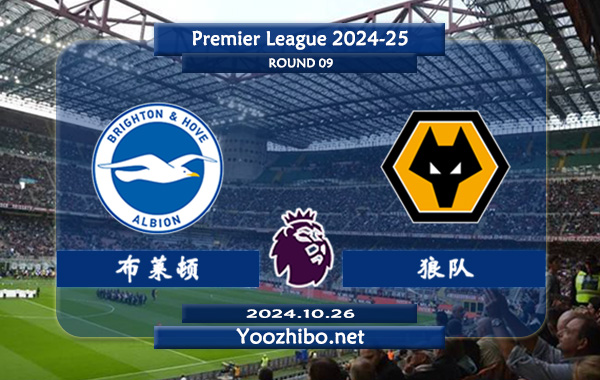 布莱顿vs狼队赛事前瞻分析