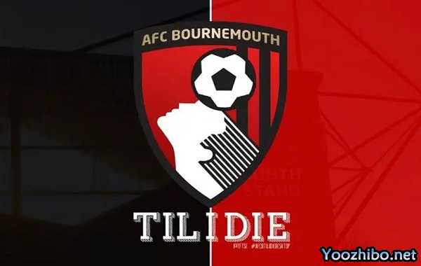 伯恩茅斯:2023-24赛季十大进球精彩回顾