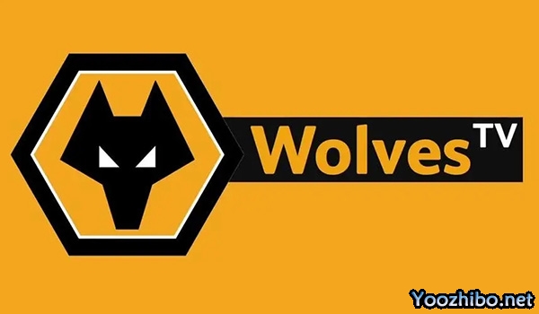 狼队2023-24赛季十大经典比赛:狼群的荣耀与坚韧