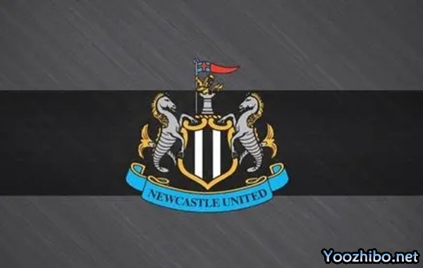 纽卡斯尔联:2023-24赛季十大进球精选