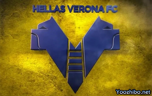 维罗纳2023-24赛季十大经典比赛:激情与荣耀之旅