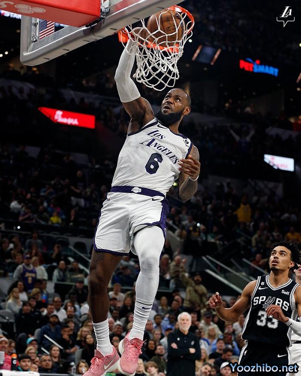 2014-15赛季NBA十佳进球:技艺与激情的巅峰对决